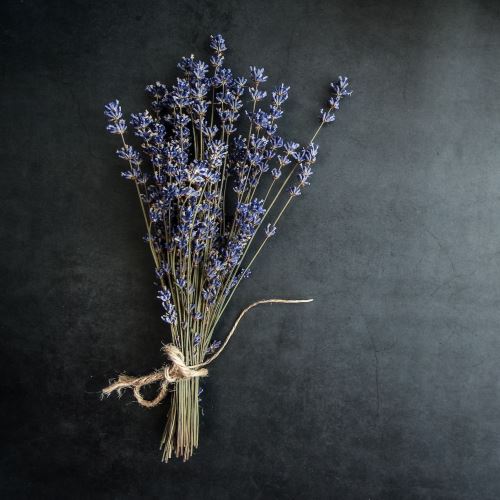 Olio essenziale di lavanda