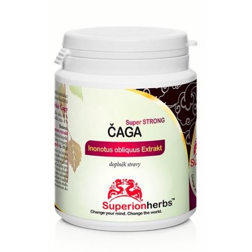 Chaga, 100% Chaga siberiano, estratto di fungo