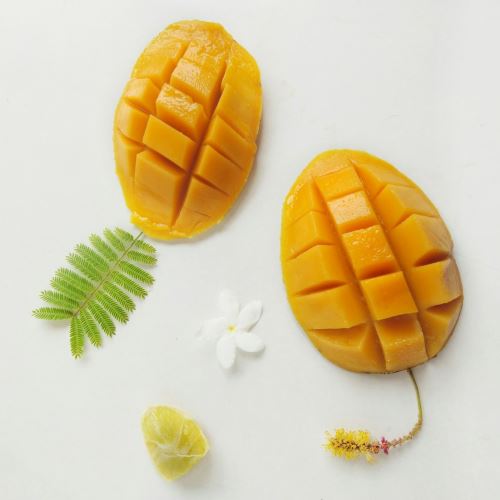 Trattamento al mango per capelli secchi